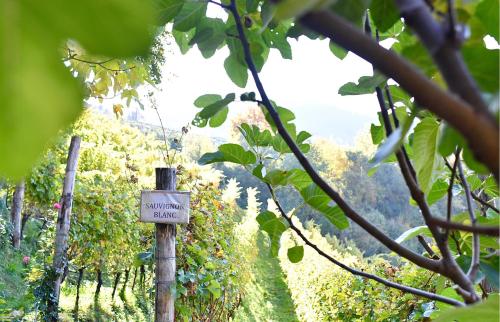 hotel-turm-weingut-6397